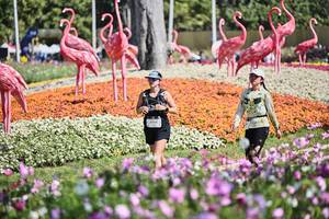 BIB: 
                            <button type="button" onclick="openModal(27794167)" class="btn btn-primary btn-sm float-right btn-popup" data-toggle="modal" data-target=".modal-high-quality">
                        <i class="fas fa-shopping-cart"></i> Add to Cart
                    </button>
                                            <button type="button" onclick="isThisMe(27794167, true)" class="btn btn-success btn-sm float-right btn-popup btn-isme hidden" data-toggle="tooltip" data-placement="bottom" title="นี่คือรูปของคุณใช่ไหม คลิกที่นี่เพื่อเอาเข้าอัลบั้ม">
                        <i class="fas fa-plus"></i> Add to album
                    </button>
                    <button type="button" onclick="isThisMe(27794167, false)" class="btn btn-warning btn-sm float-right btn-popup btn-isnotme hidden">
                        <i class="fas fa-ban"></i> Remove from album
                    </button>